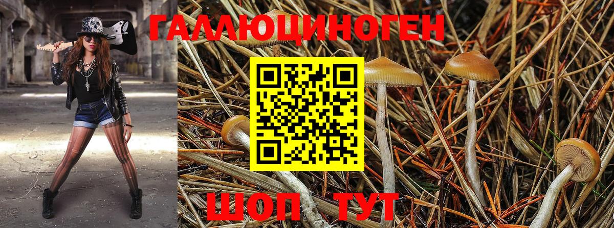 Озёры  Галлюциногенные грибы ЛСД  Псилоцибиновые грибы Magic Shrooms  Вход с VPN 